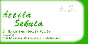 attila sekula business card